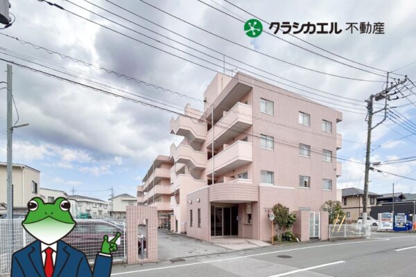 オートロック付きの安心マンション。　スーパーやドラッグストア、東武駅、大型ショッピングモール近く